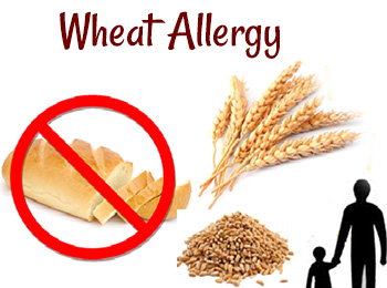 wheat allergies treatment in Jalandhar