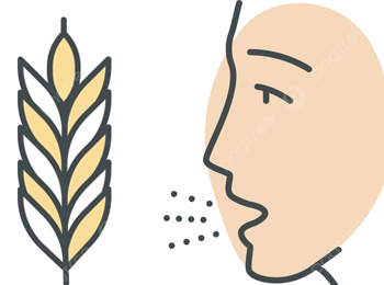 wheat allergies treatment in homeopathy